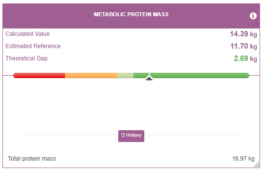 Biody report extract: estimated muscle mass